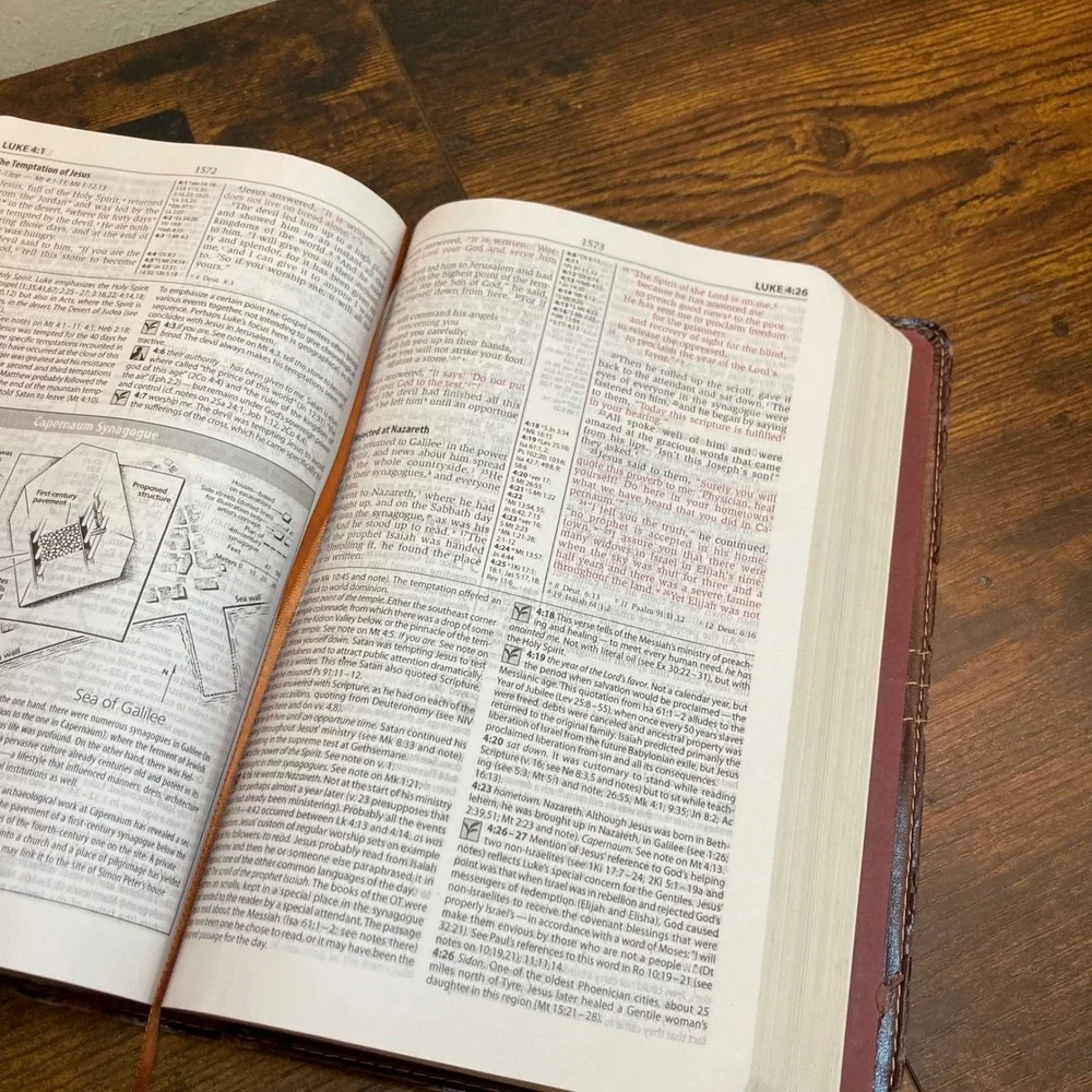 Zondervan NIV Study Bible 2008 Update Brown Italian Duo-Tone Very Distressed